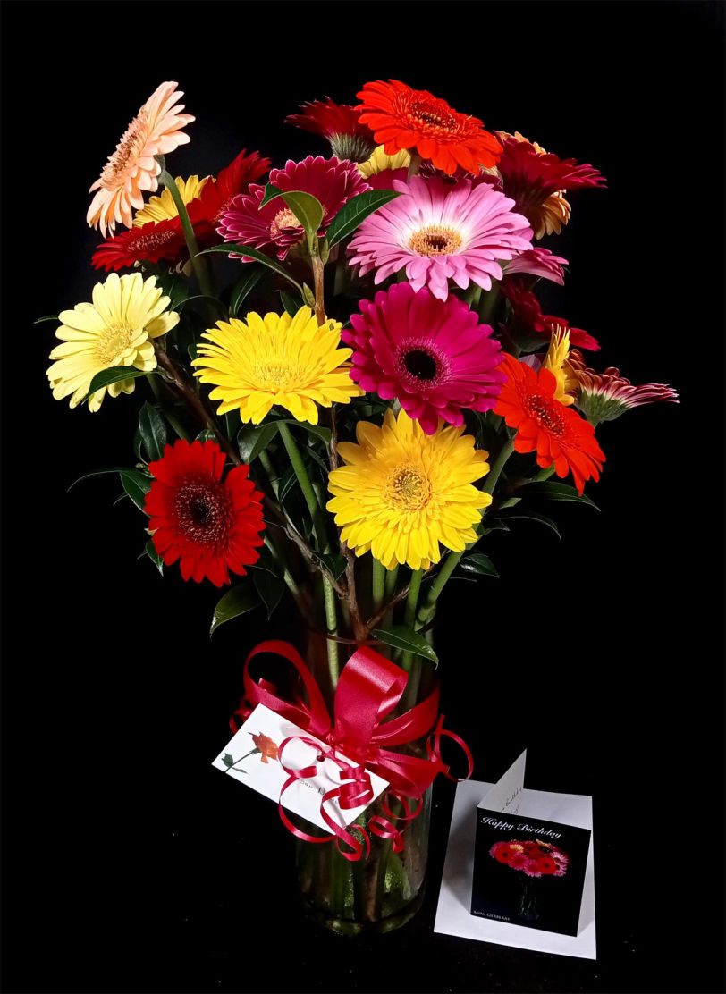 25 MINI GERBERAS IN VASE